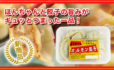 あっさり感でもコクが旨い塩ニンニクのほんちゃんホルモン